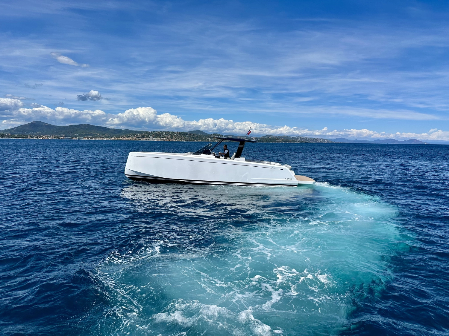 PARDO 38