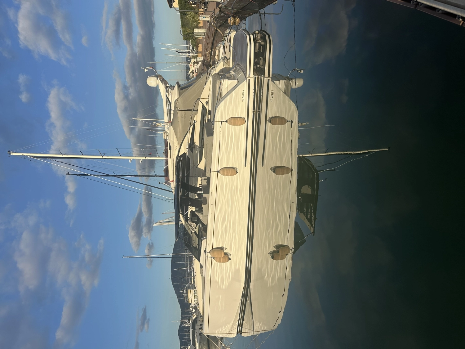 PARDO 50