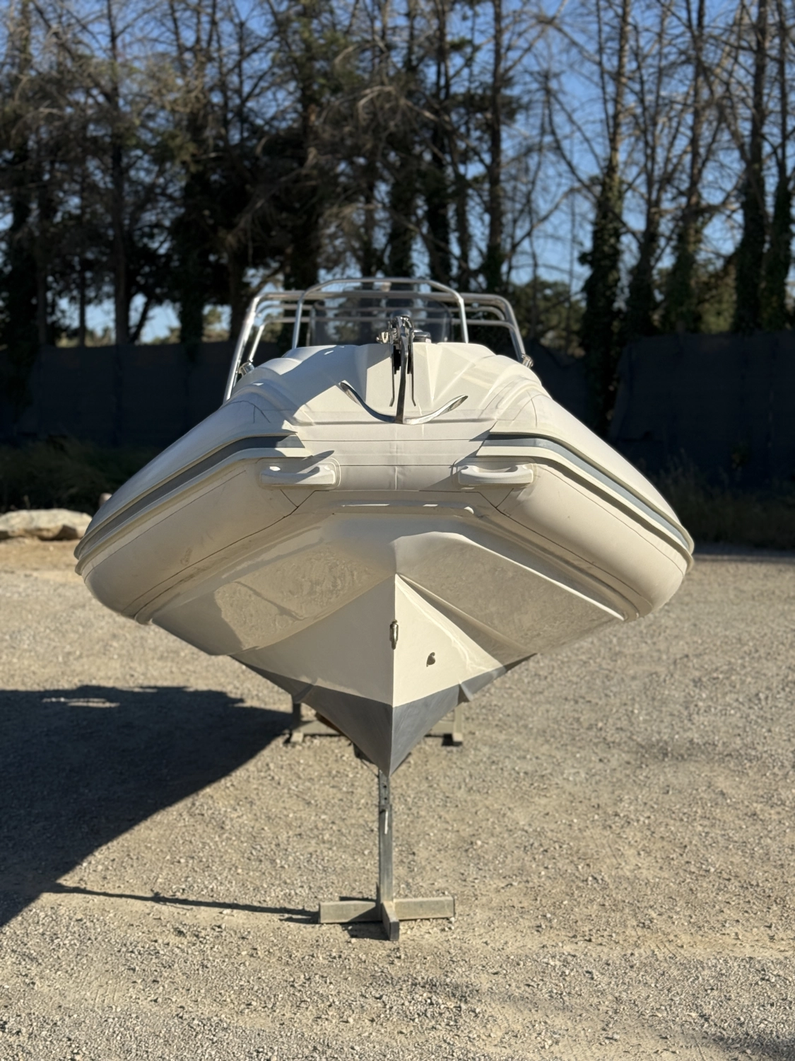 NUOVA JOLLY PRINCE 24