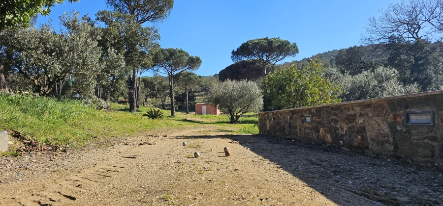 Escapade dans les vignes