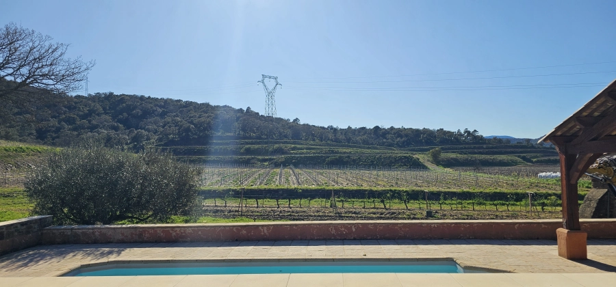 Escapade dans les vignes