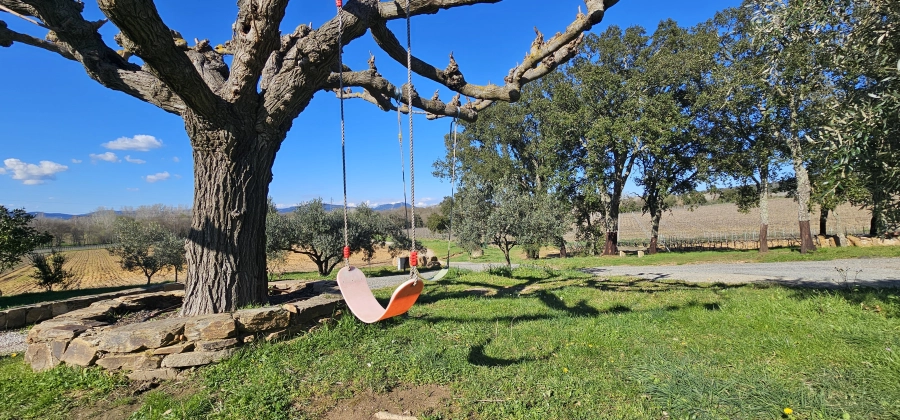 Escapade dans les vignes
